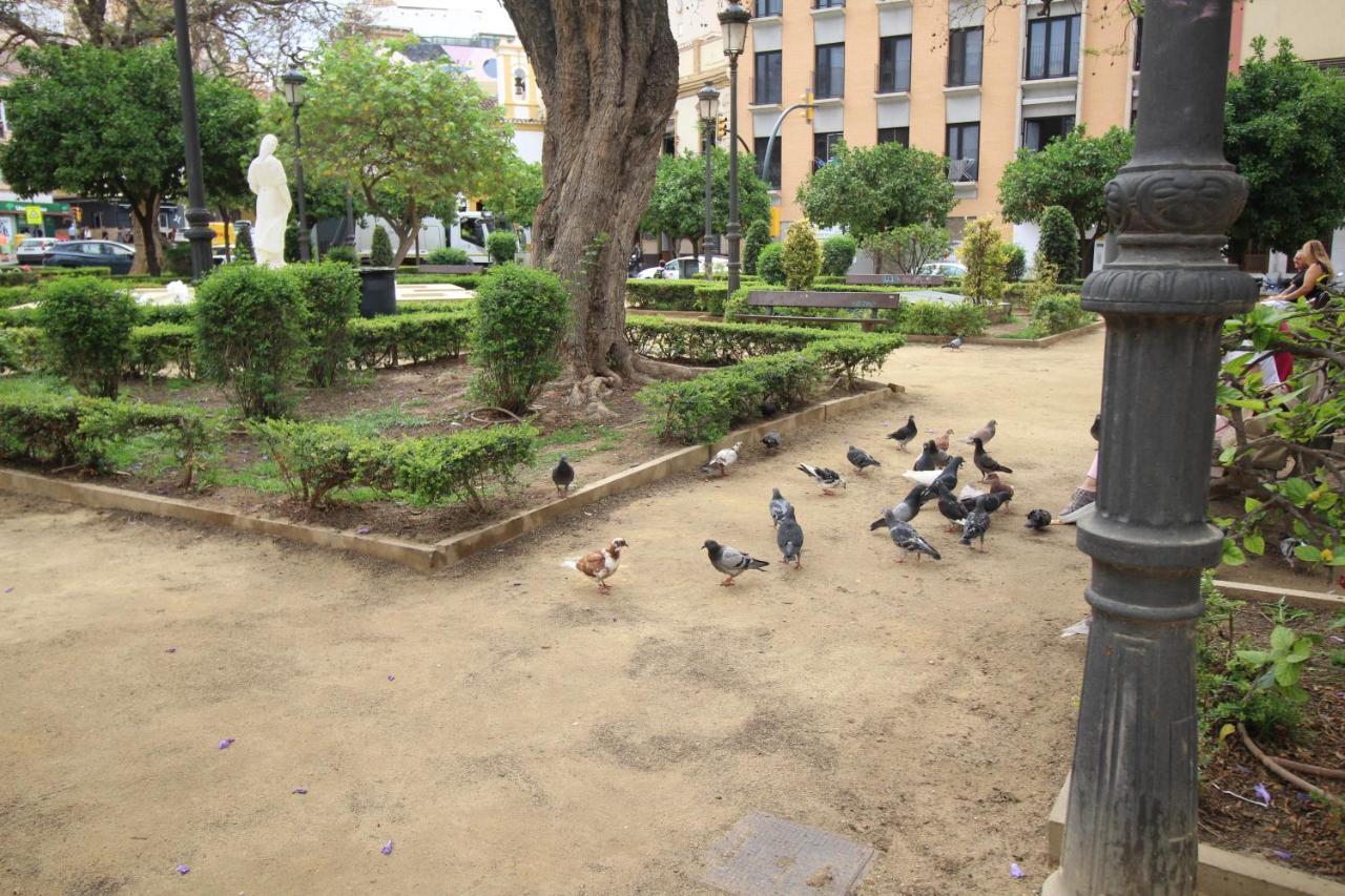 Appartamento Del Parque Flats Monkey 1 Málaga Esterno foto